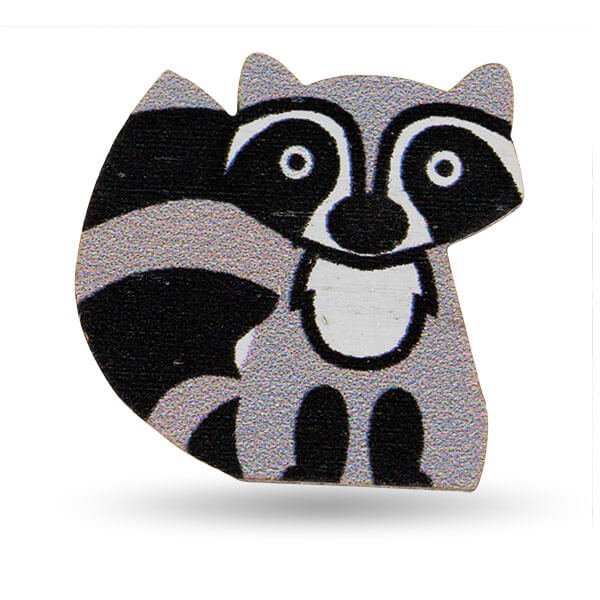 Raccoon #3